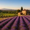 Vacances : 7 escapades près d’Avignon