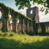 Découverte envoûtante de l'abbaye de Saint Roman 2024