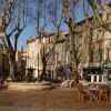 Bienvenue sur LesBonsPlansdAvignon.com - Votre guide incontournable à Avignon !