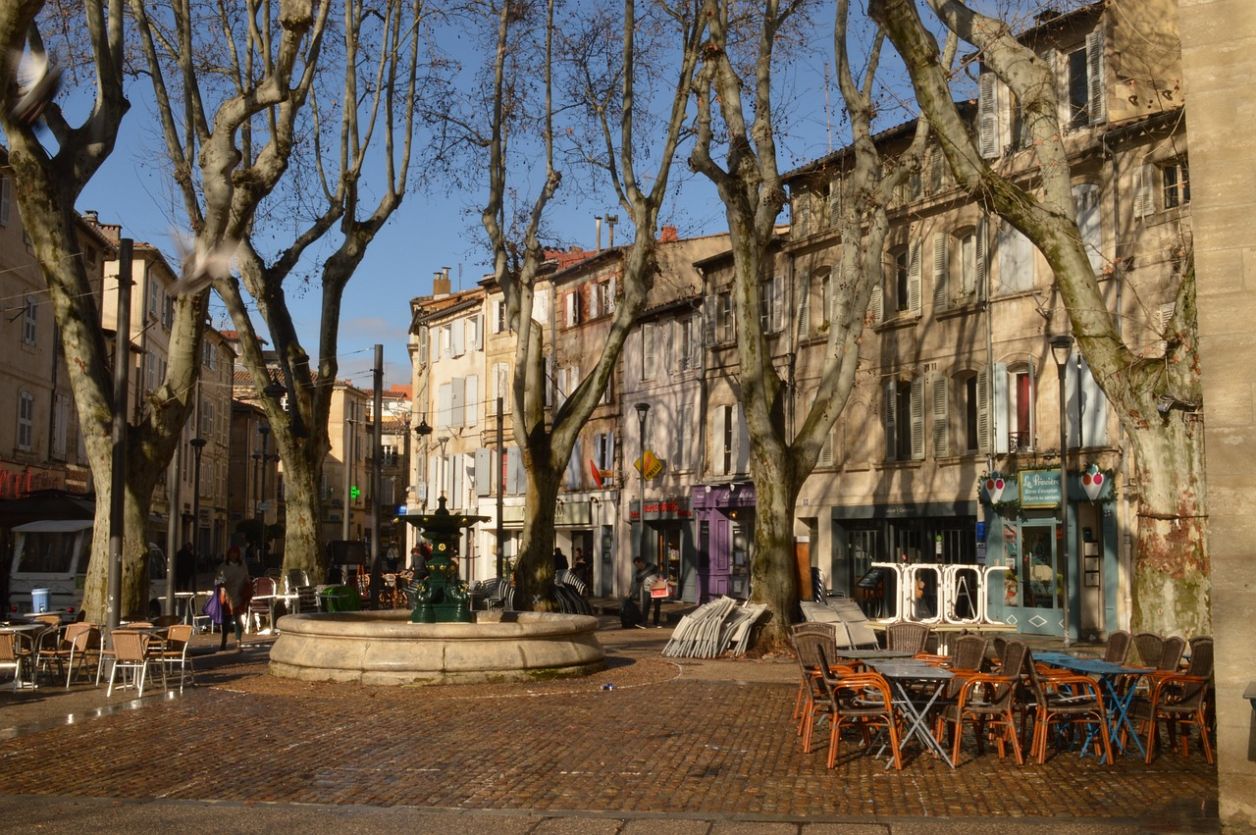 Bienvenue sur LesBonsPlansdAvignon.com - Votre guide incontournable à Avignon !