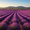 Les plus belles excursions en Provence
