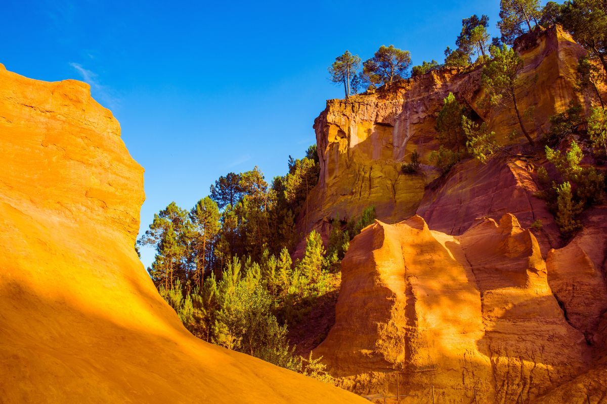 Explorez le Vaucluse : destination idéale pour des vacances inoubliables