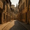 Avignon : trésors secrets à découvrir