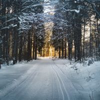 Que faire à Avignon en hiver ?