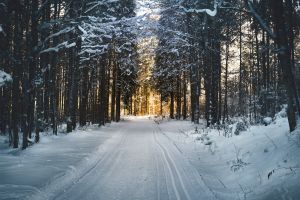 Que faire à Avignon en hiver ?