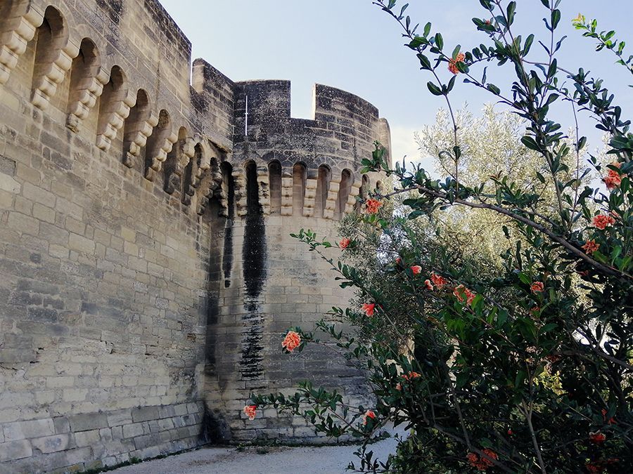 Que visiter à Avignon ?