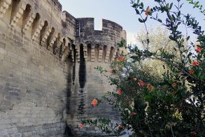Que visiter à Avignon ?