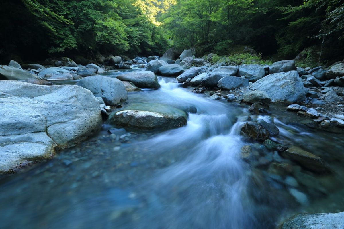 Début serein du cours d'eau argenté
