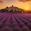 Avignon et Provence : 10 lieux magiques